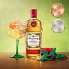 Tanqueray Gin Gifts Section