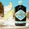 Gin Section