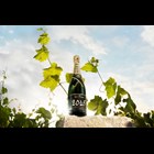 View Moet & Chandon Brut Vintage 2015 Champagne 75cl number 1