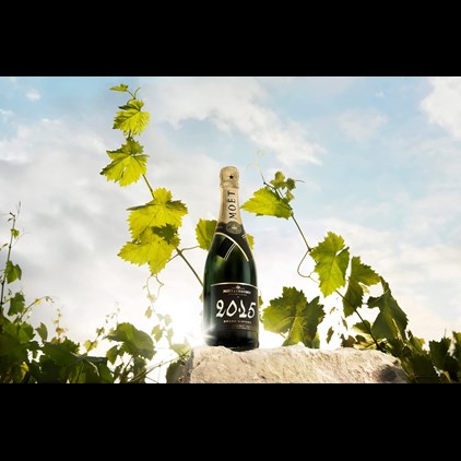 View Moet & Chandon Brut Vintage 2015 Champagne 75cl number 1