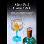 View Silent Pool Gin and Copa Glasses Gift Set number 1