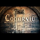 View Codorniu Zero Alcohol Free Sparkling White Wine 75cl number 1