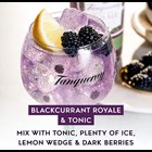 View Tanqueray Blackcurrant Royale Gin 70cl number 1