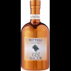 View Bottega Bacur Dry Gin 50cl Gift Set With 2 Glasses number 1