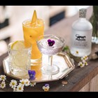 View Clouded Leopard Artisan Dry Gin 50cl number 1