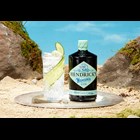 View Hendricks Neptunia Gin 70cl number 1