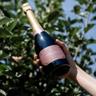 View Silver Reign Rose English Sparkling 75cl Happy Birthday Wine Duo Gift Box (2x75cl) number 1