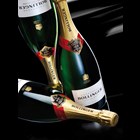 View Bollinger Brut Special Cuvee Champagne 75cl number 1