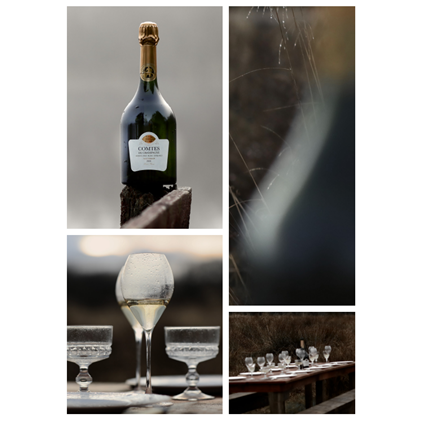 View Taittinger Comtes de Champagne 2013 - Grand Crus - Blanc de Blancs number 1