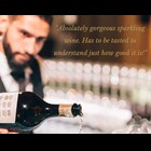 View Fitz Brut White 75cl Sparkling Wine Made In England number 1