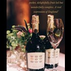 View Fitz Brut White 75cl Sparkling Wine Made In England number 1