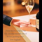 View Fitz Brut White 75cl Sparkling Wine Made In England number 1
