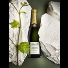 View Palmer & Co Grands Terroirs 2015 Vintage Champagne Gift Box 75cl number 1