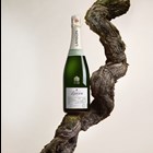 View Lanson Le Green Bio Organic Champagne 75cl number 1