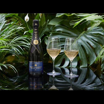 View Moet & Chandon Nectar Imperial Demi Sec Champagne 75cl number 1