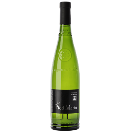 View Case of 12 Picpoul de Pinet Le Pied Marin AOC 75cl White Wine number 1