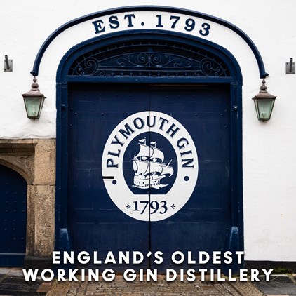 View Plymouth Sloe Gin 70cl number 1