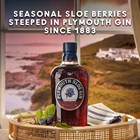 View Plymouth Sloe Gin 70cl number 1
