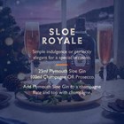 View Plymouth Sloe Gin 70cl number 1