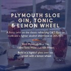 View Plymouth Sloe Gin 70cl number 1