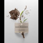 View Louis Roederer Collection 245 MV Champagne 75cl number 1
