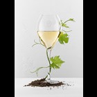 View Louis Roederer Collection Salmanazar Champagne 900cl number 1