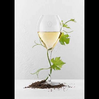 View Louis Roederer Collection Jeroboam Champagne 300cl number 1