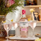View Edinburgh Rhubarb & Ginger Gin 70cl number 1