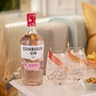 View Edinburgh Rhubarb & Ginger Gin 70cl number 1
