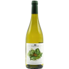 View Stanlake Park Wine Estate Bacchus 75cl White Wine And Chocolates Hamper number 1