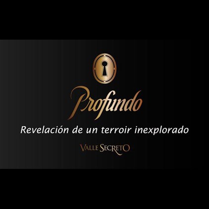 View Valle Secreto Profundo Icon Red 75cl - Chilean Red Wine number 1