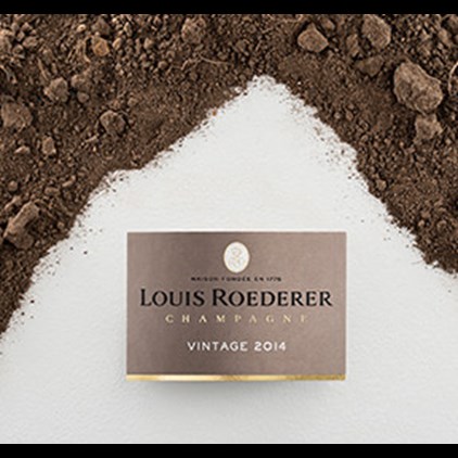 View Louis Roederer Brut ,Vintage, 2016 75cl number 1