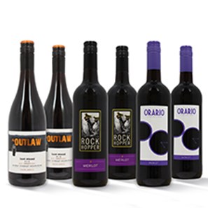 Buy Surprise Red Wine Case of 6