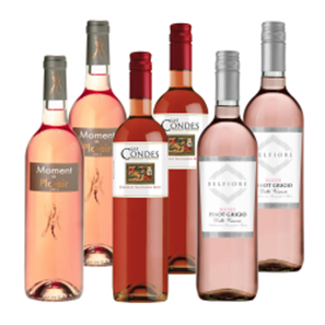 Buy Summer Drinking Rosé Collection Case of 6