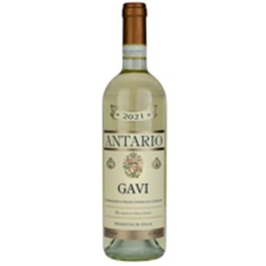 Buy Antario Gavi 75cl - Italian White Wine