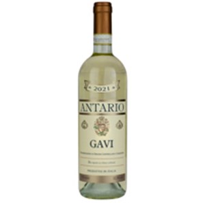 Buy Antario Gavi 75cl - Italian White Wine