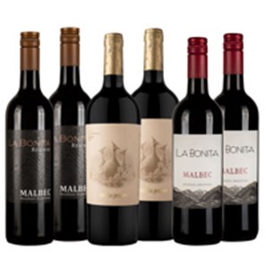 Buy Argentinian Classics 6 bottle Case of Wine