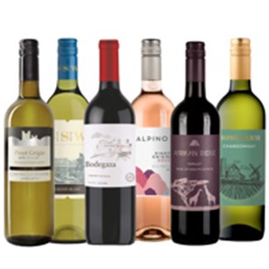 Buy Around The World Discovery Wine Case of 6