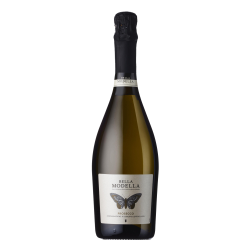 Buy & Send Bella Modella Prosecco DOC 75cl