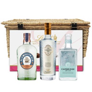 Buy Gin Selection Family Hamper