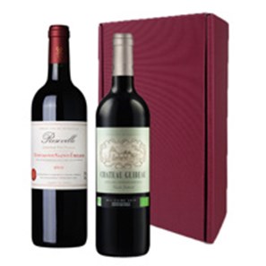 Buy Bordeaux Wine Duo Gift Box