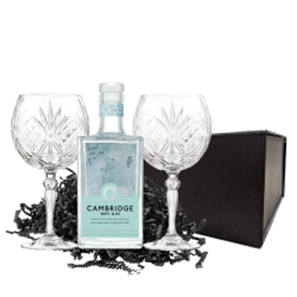 Buy Cambridge Dry Gin 70cl And Melodia Copa Glass Gift Set
