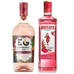 Buy Edinburgh Rhubarb & Ginger Gin & Beefeater Pink Strawberry Gin (2x70cl)