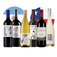 Buy Experience South American Wine Case of 6