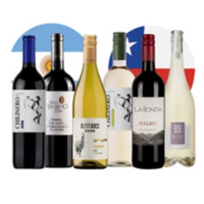 Buy Experience South American Wine Case of 6