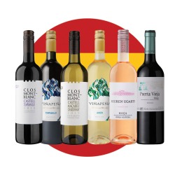Buy Experience Spain Wine Case of 6