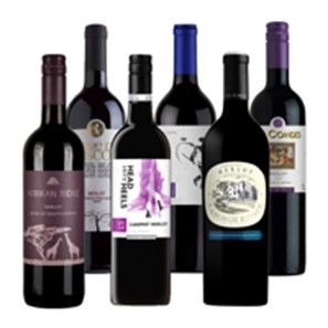 Buy The Merlot Wine Case of 6